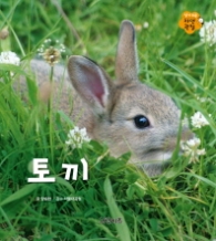 토끼 (알기 쉬운 자연관찰 10)